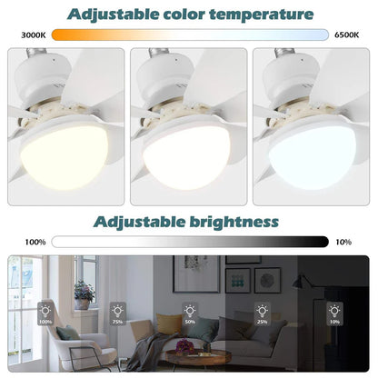 2-in-1 Ceiling Fan & LED Light مروحة سقف وإضاءة LED 2 في 1